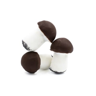 Meduoliniai sausainiai GRYBUKAI su glaistu